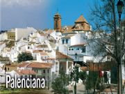 CABECERA DE PALENCIANA